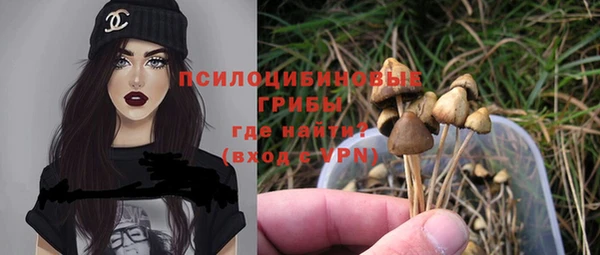 a pvp Алексин