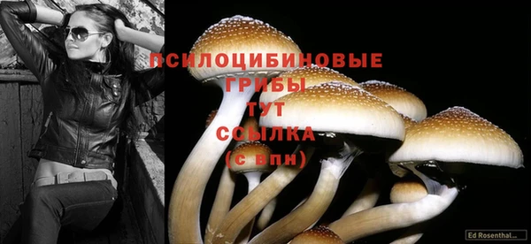 a pvp Алексин