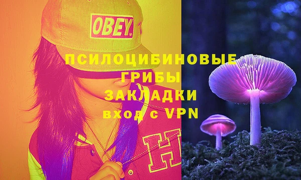 сатива Алексеевка