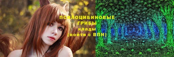 a pvp Алексин