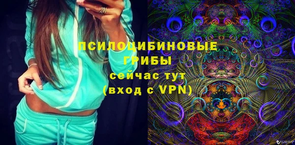 сатива Алексеевка