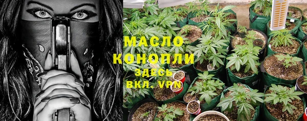 сатива Алексеевка